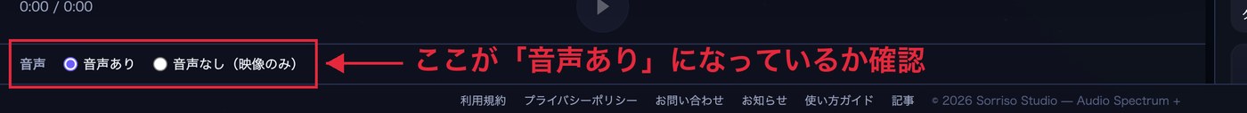 映像の下にある「音声」の欄。「音声あり」と「音声なし（映像のみ）」のどちらかを選べる